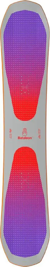 Bataleon Evil Twin Snowboard