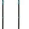 Rossignol Electra Skistokken -alpine skien Winkel rossignol electra ski poles 4d
